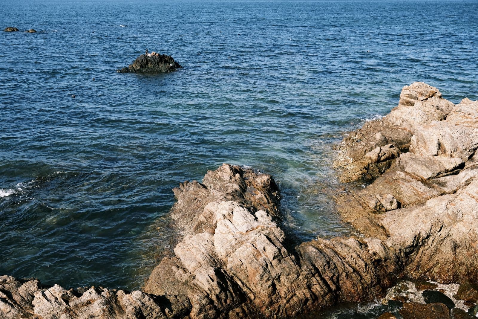岩場の海岸線と青い海